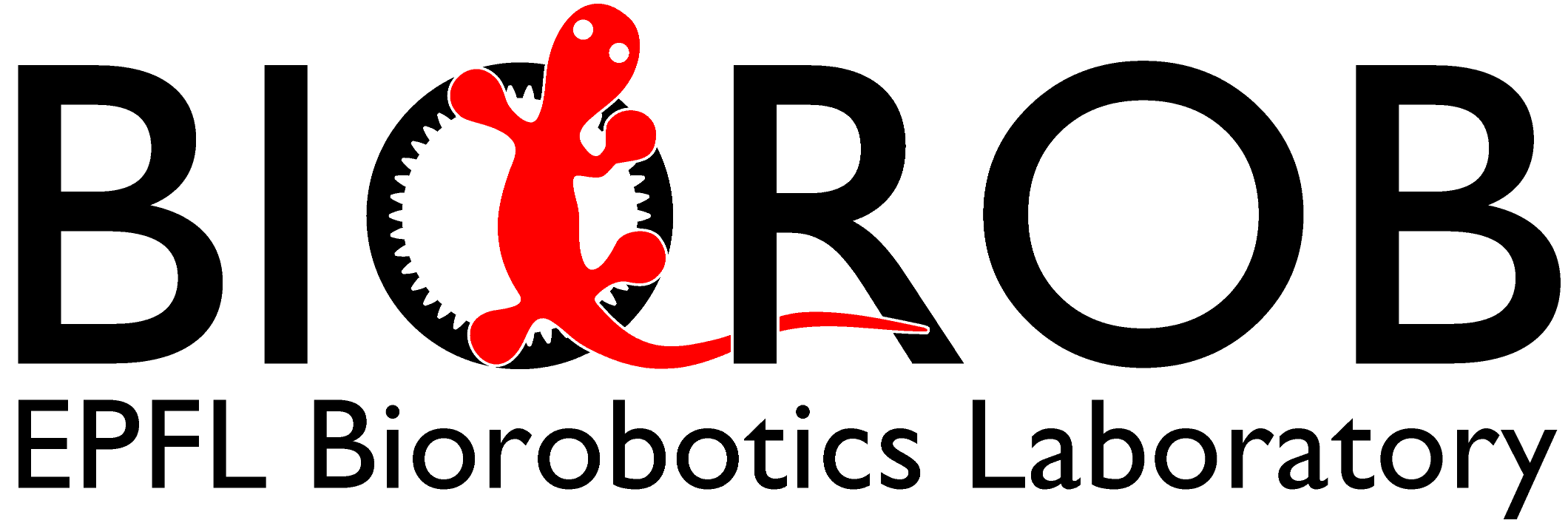 Auke Ijspeert banner