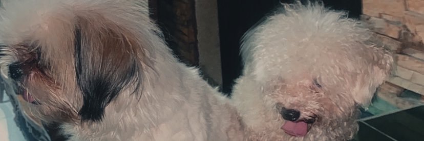 aedc24_'s profile banner image