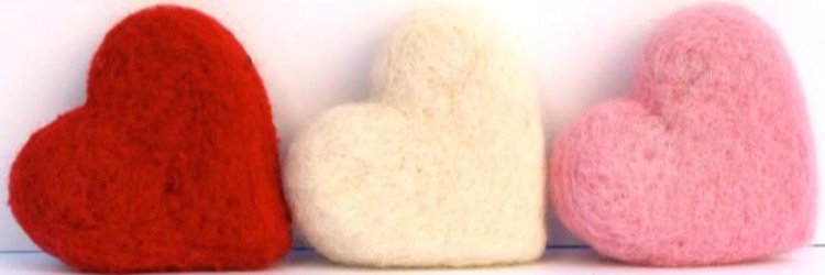 foxyfroxchester's profile banner image