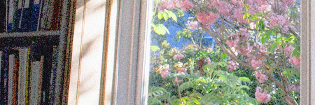 springsborn's profile banner image