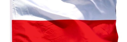 Dariusz Brzozowski's banner