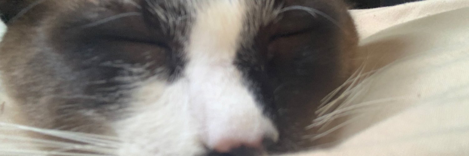 L1zyYu's profile banner image