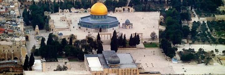 FreeAllPalestin's profile banner image