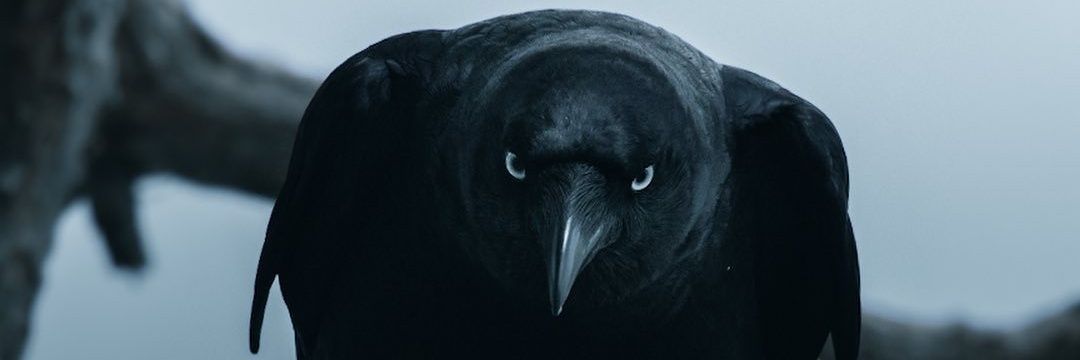 ozen04004's profile banner image