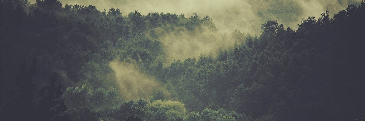 da_ViaL's profile banner image