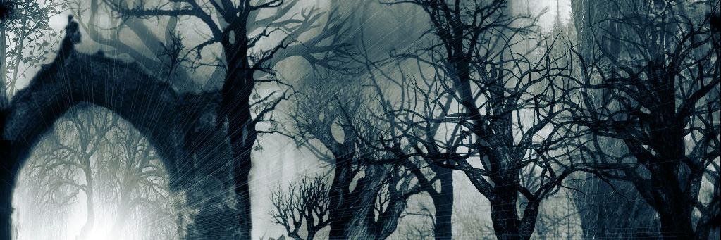 LissbelStormrag's profile banner image