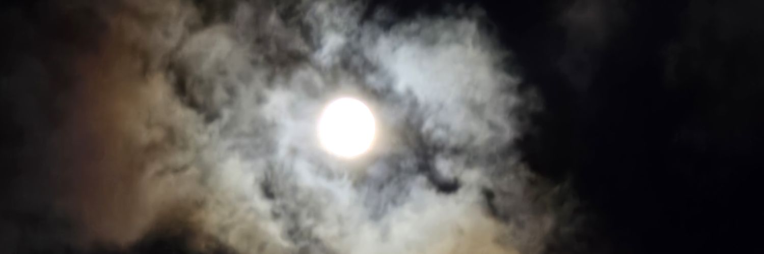 WHITEDOG1818's profile banner image