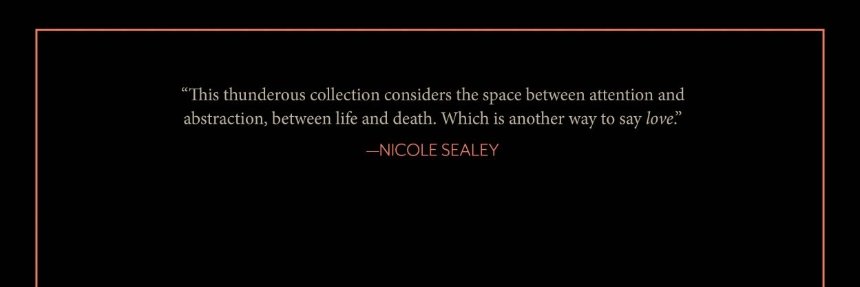 Nebeolisa Okwudili banner