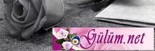 GulumNetOffical's profile banner image