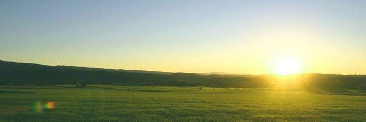 TRASolsones's profile banner image