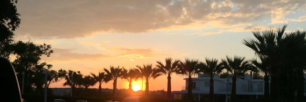 millie marrison banner