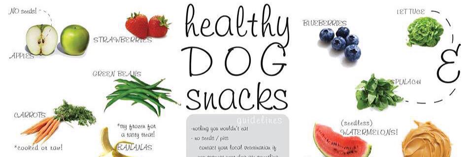 woofsolution1's profile banner image