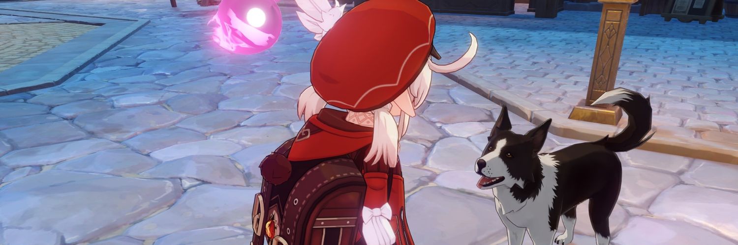 Ruruaniment's profile banner image