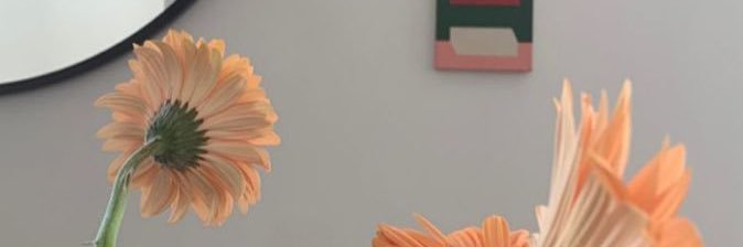 mingxx95's profile banner image