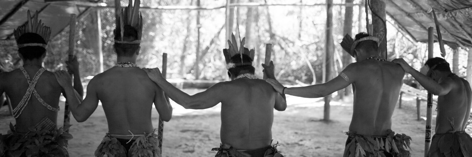 Felipe Carnotto banner