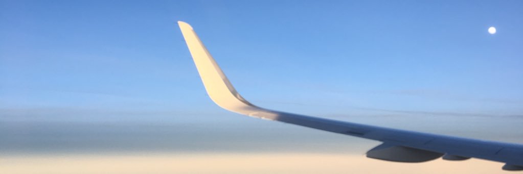 didallapicula's profile banner image