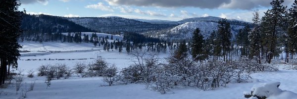 KateSansum Profile Banner