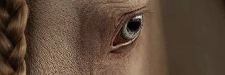 Imoibo69's profile banner image