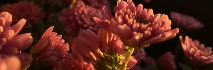 ekrs_'s profile banner image