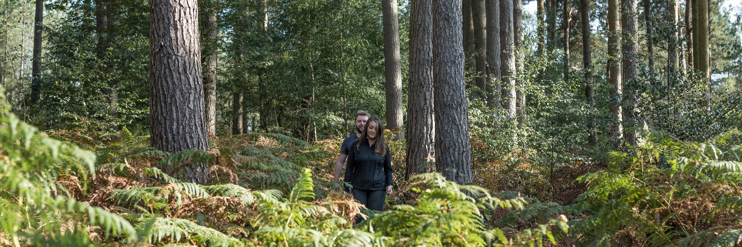 thinkingplace banner