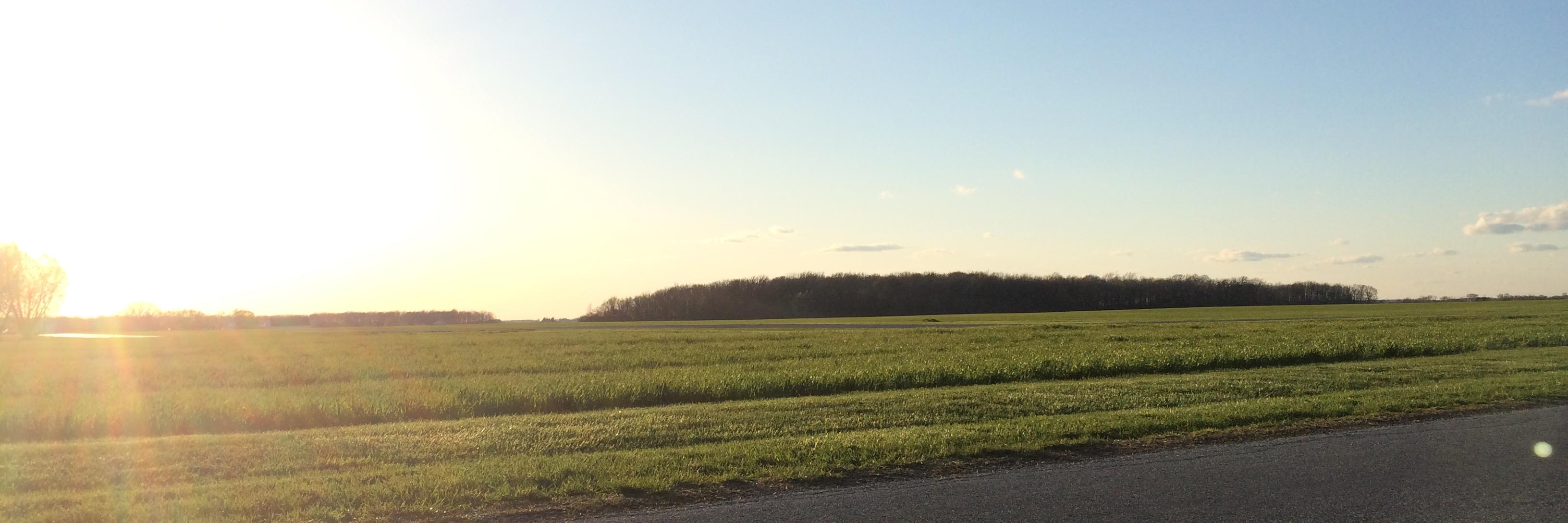 CBreitigam's profile banner image