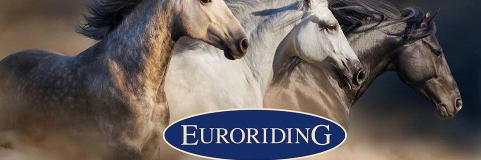 Euroriding's profile banner image
