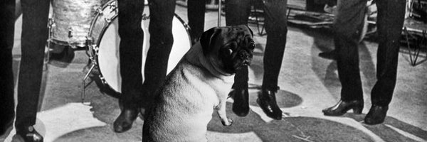 wendyOrourke Profile Banner