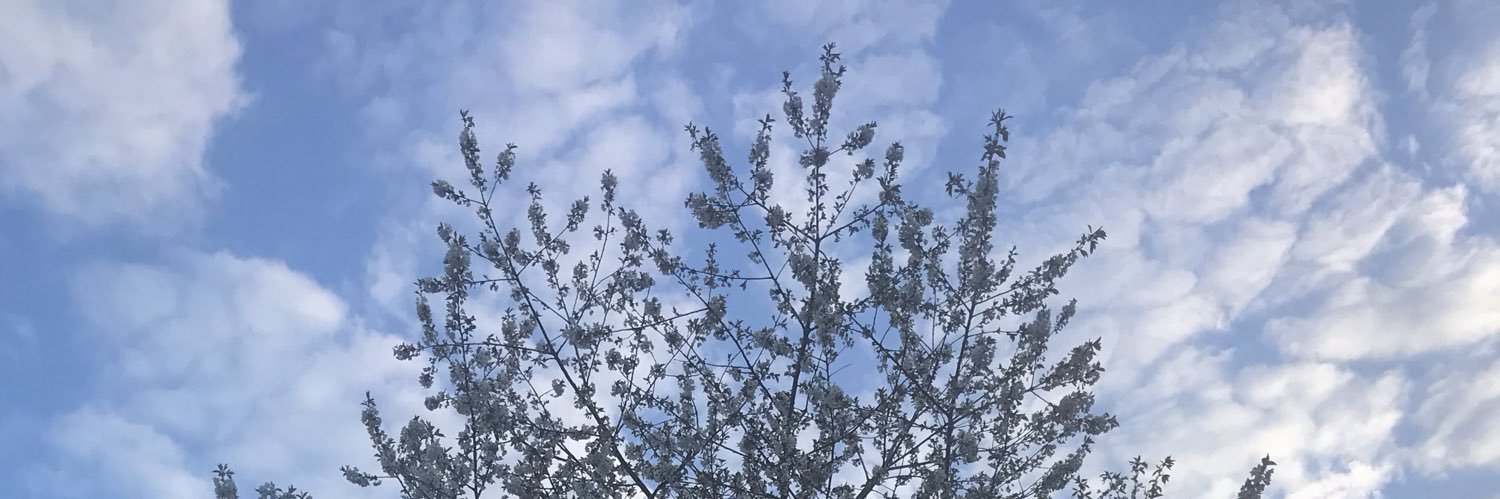 ceciliaedling's profile banner image