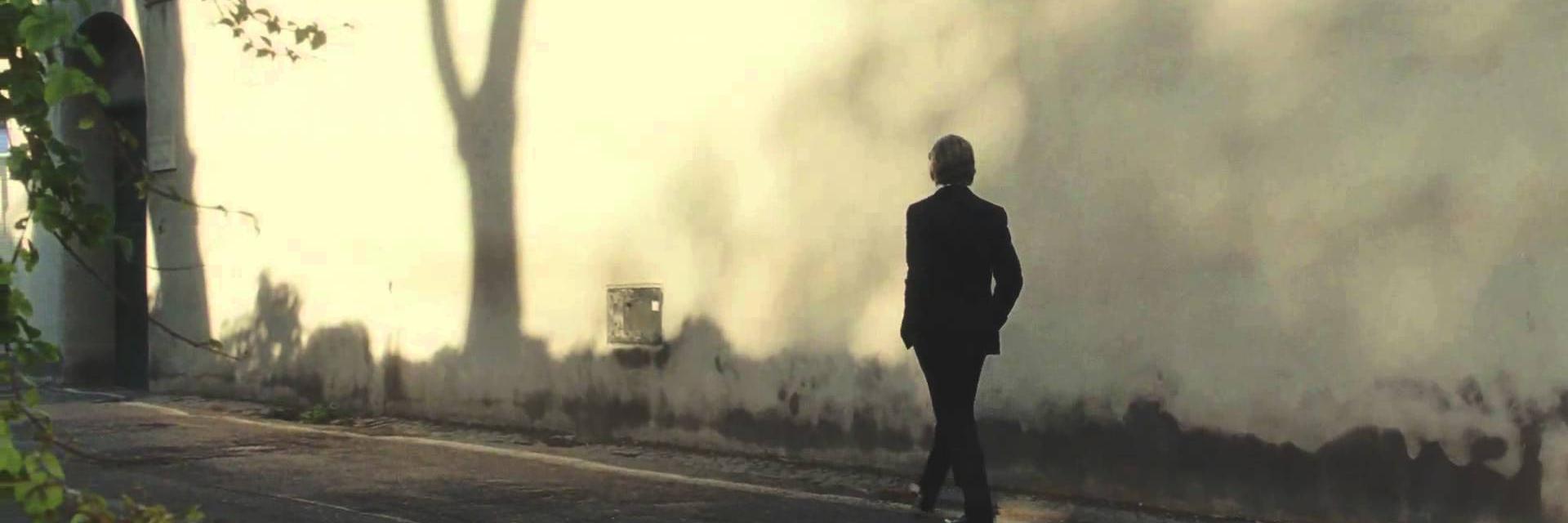 Servaas van der Laan banner