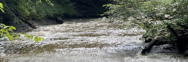 twitch_44 Profile Banner