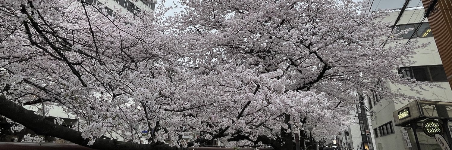 R_jsb12's profile banner image