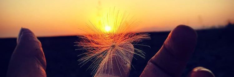 sedasvncu's profile banner image