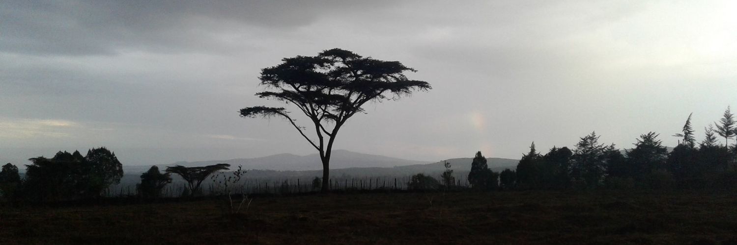 javanrop's profile banner image
