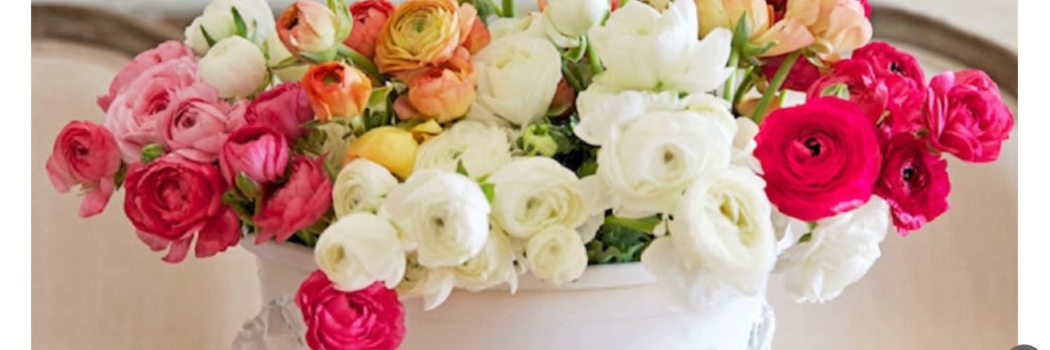 CelesteCrowson's profile banner image