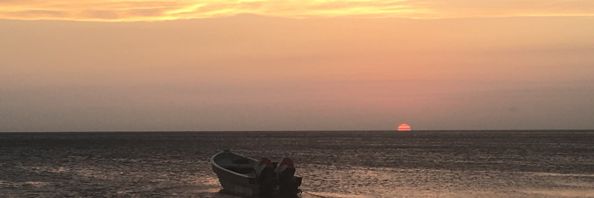 mgcontartese's profile banner image