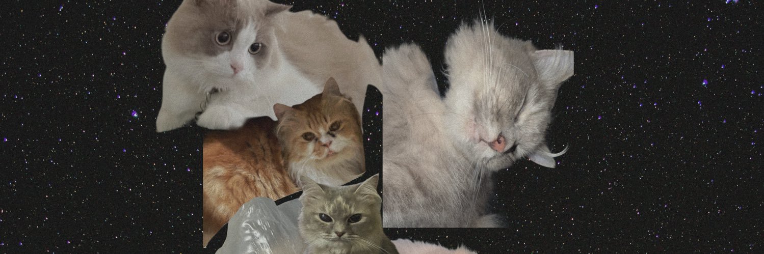 acangjamree's profile banner image