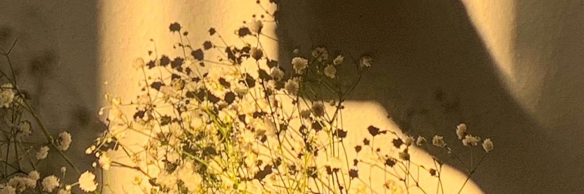 slxam1's profile banner image