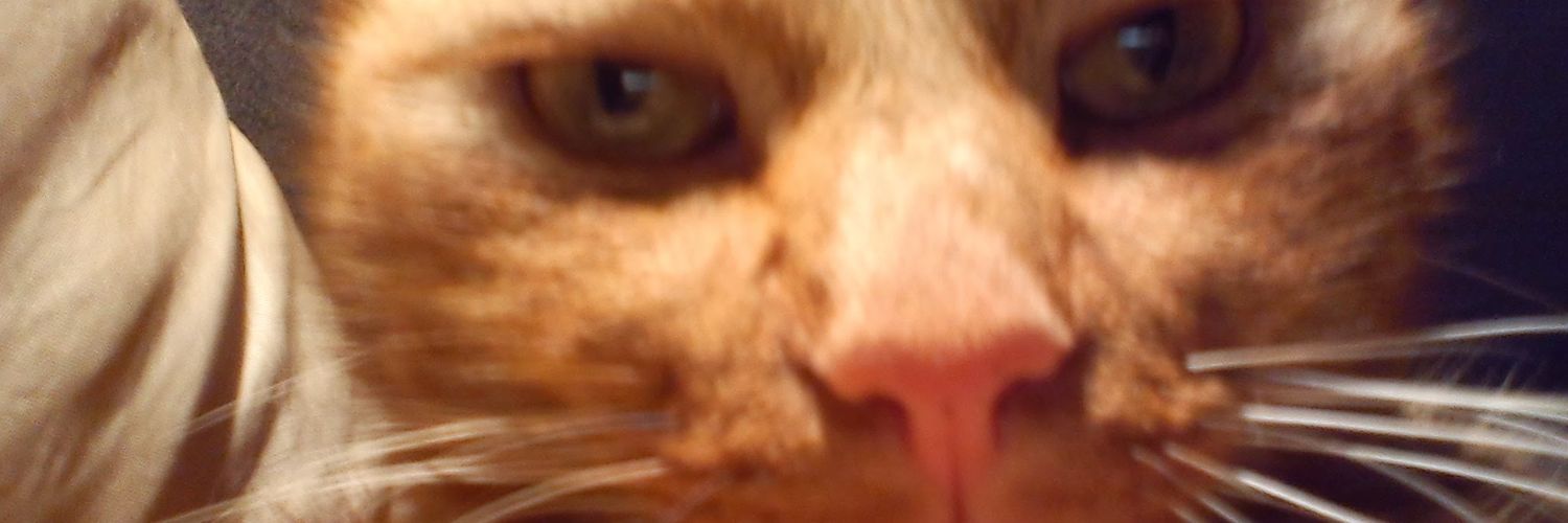 his name escapes me for the moment banner