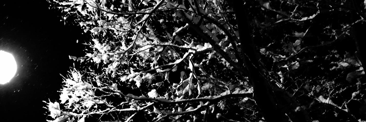 sun_ch_ein's profile banner image