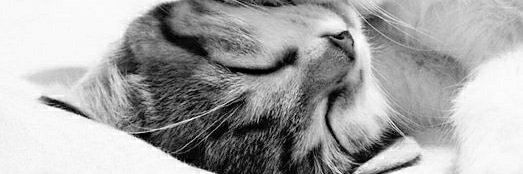 Madruga114's profile banner image