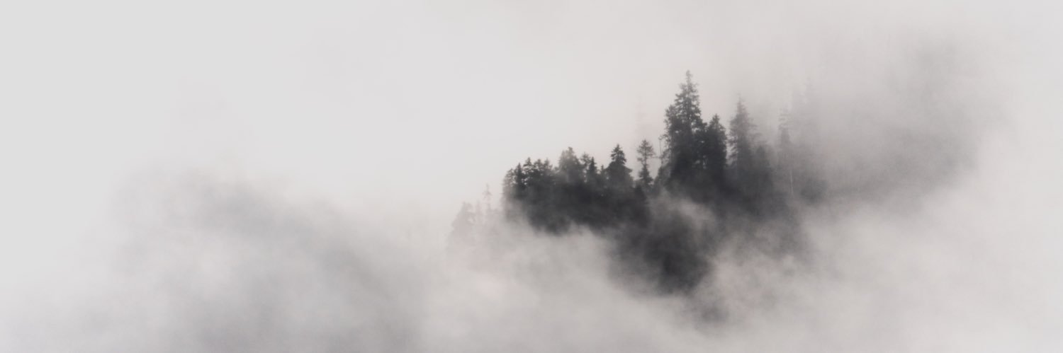 Tidewarp's profile banner image