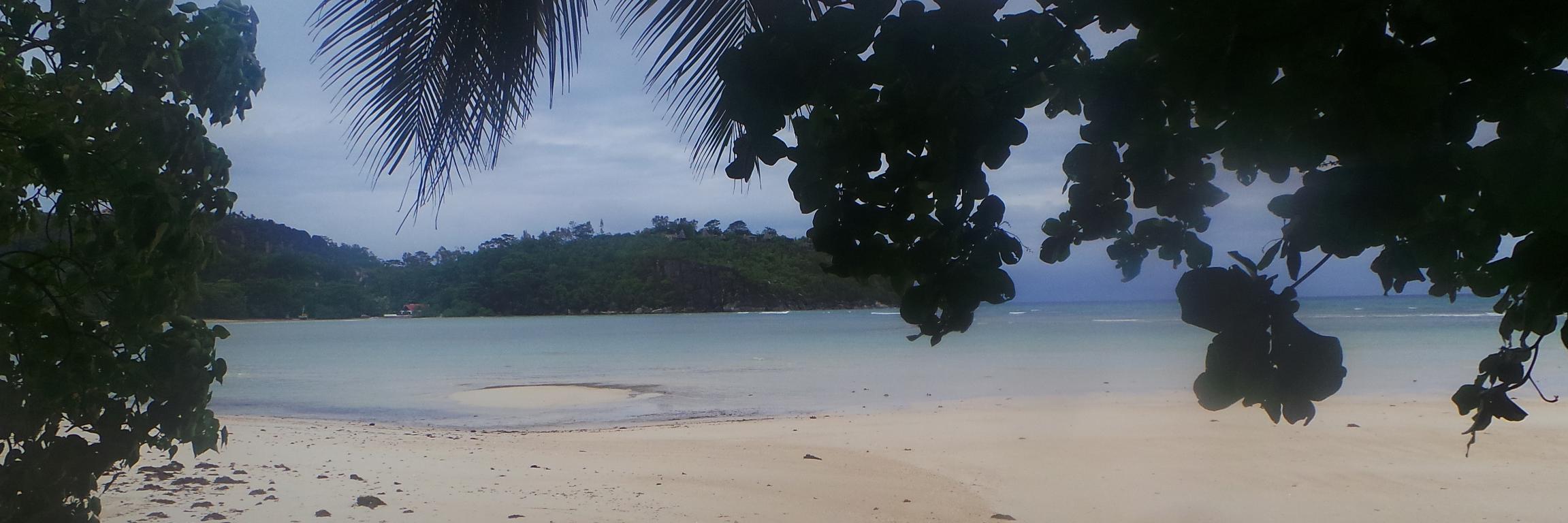 Wangeci Mūrage banner