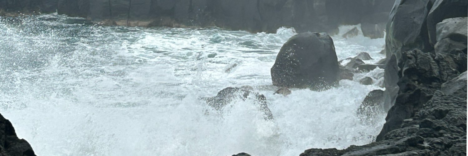 Quickandtoast's profile banner image
