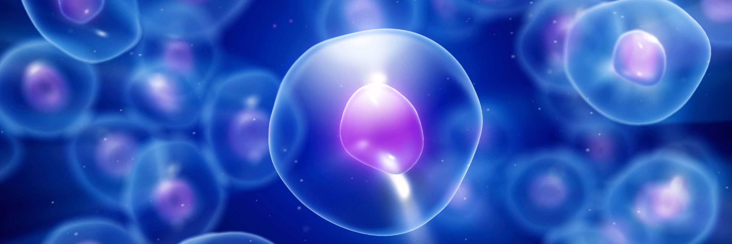 IU Biomedical Grad Programs at School of Medicine banner