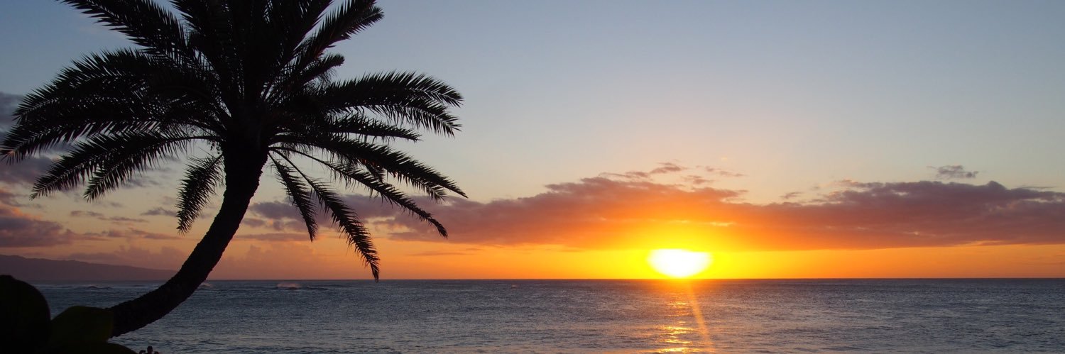 ayanatea's profile banner image