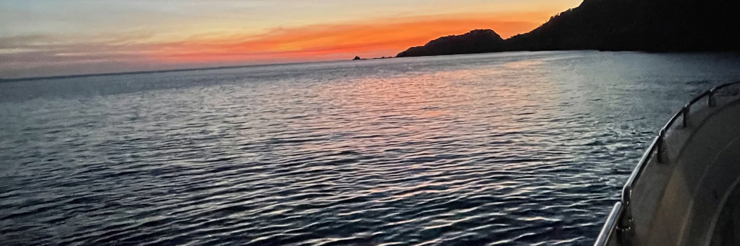Régis D banner