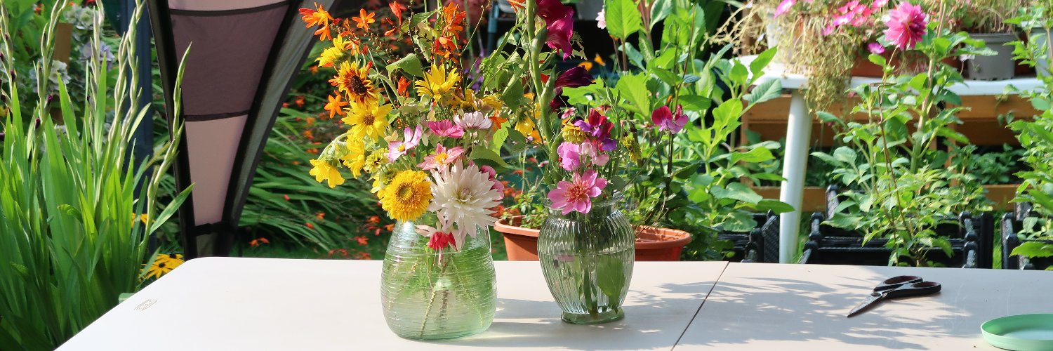 Funky albert snail banner