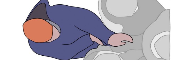 JuPedSim's profile banner image