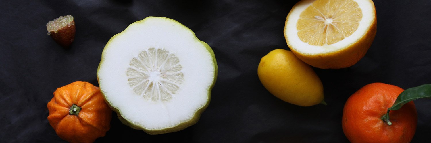 Culinaries's profile banner image