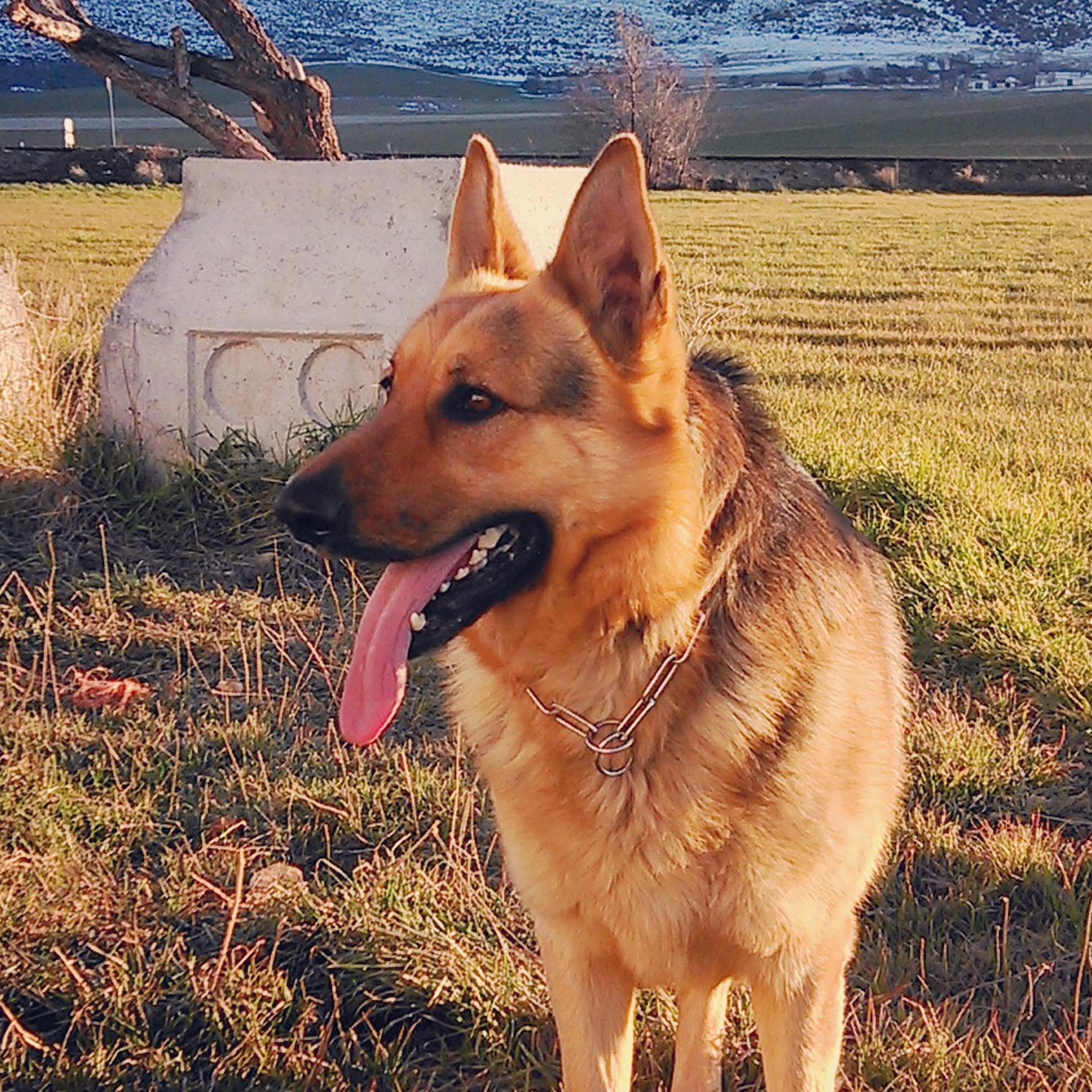 Jaime_Vilchz's profile banner image